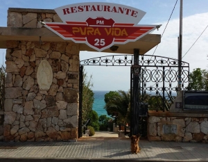 Mallorca Restaurant Tipp Pura Vida 3