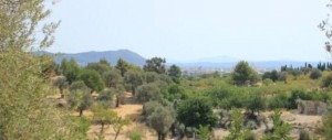 Mallorca Ausflüge in die Natur