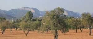 Mallorca Natur