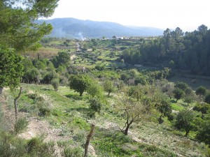Wege im Landesinneren führen zu verborgenen Schätzen der Insel Mallorca