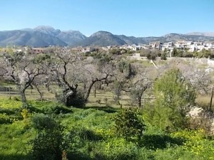 Wunderschöne Berglandschaft auf Mallorca