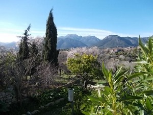 Mallorca - Ausflüge in zauberhafter Umgebung
