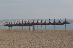 winterlicher Spaziergang auf Mallorca