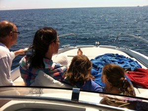 Motorboot mieten Mallorca2