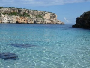 Cala Ratjada Segel Ausflug 