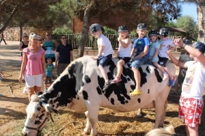 Mallorca Ausflüge mit Kindern 2