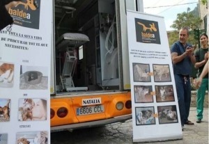 Tierschutz Mallorca aktiv