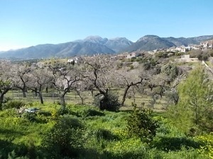 Mallorca Ausflüge Natur