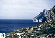 Mallorca Ausflüge Port Pollensa Bootstour Kap Formentor