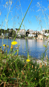 porto petro mallorca